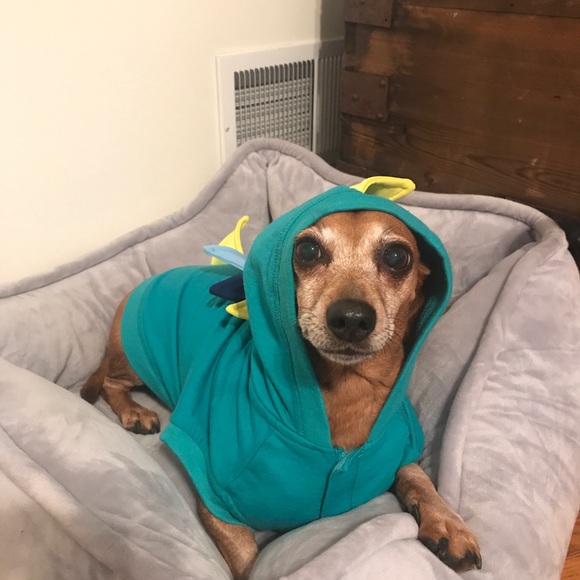 Assistant Posher, Novella - Picture 3 of 6